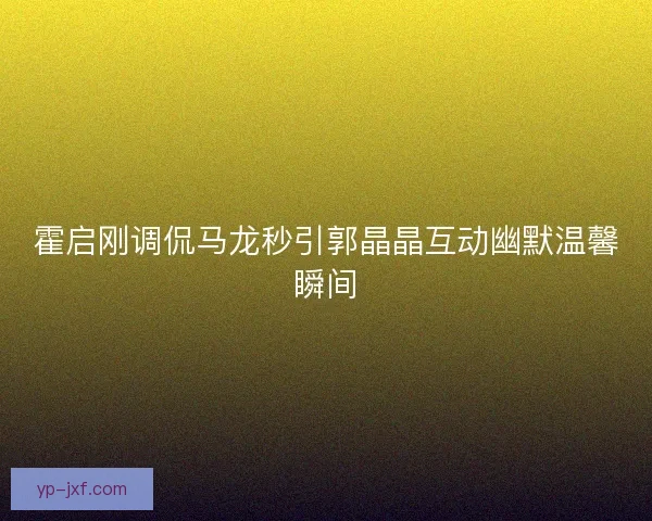 霍启刚调侃马龙秒引郭晶晶互动幽默温馨瞬间